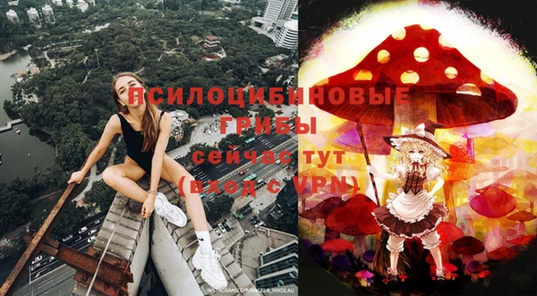 крисы Протвино