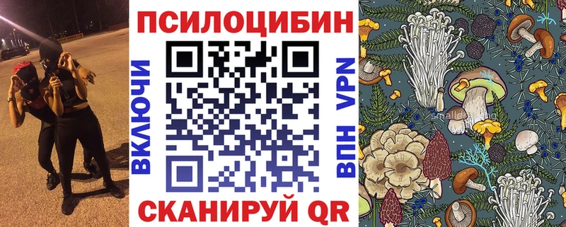 Псилоцибиновые грибы мухоморы  купить наркотик  Кондрово 
